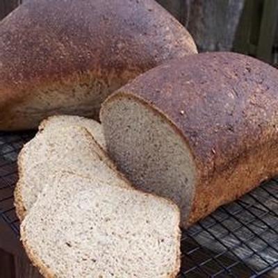 pain de blé entier westrup