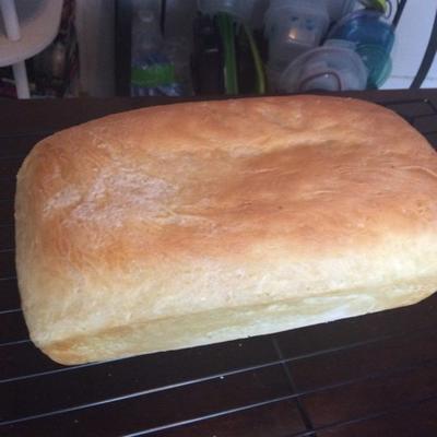 pain de levure fraîche