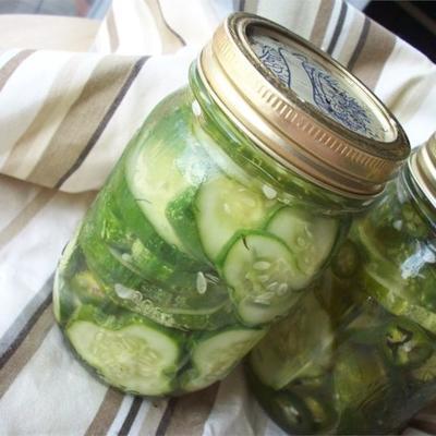 pickles de réfrigérateur maison