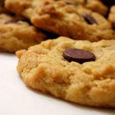 biscuits aux brisures de chocolat et d'avoine