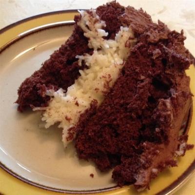 gâteau au chocolat et noix de coco ii