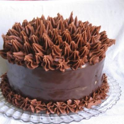 Le gâteau extrême au chocolat d'Elizabeth