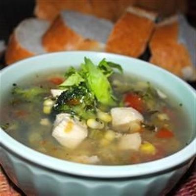 soupe aux légumes, poulet et herbes de meghan et jenn