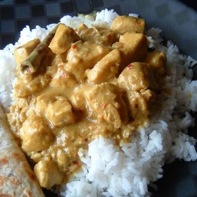 poulet indien épicé curry délicieux