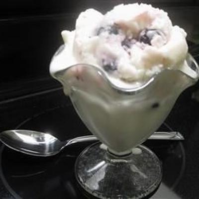 yaourt glacé à la vanille et à la vanille