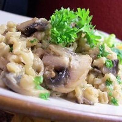 pilaf d'orge aux champignons byrdhouse
