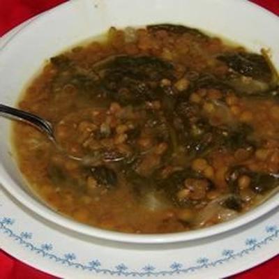 adas bil hamod (soupe libanaise au citron et aux lentilles)