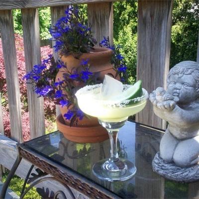 austin margarita (aka martini mexicain)