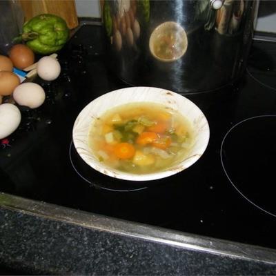 soupe de dinde aux légumes racines