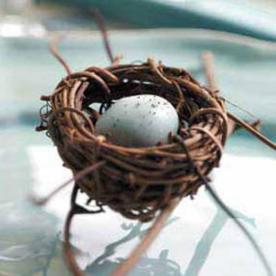 oeufs de truffes