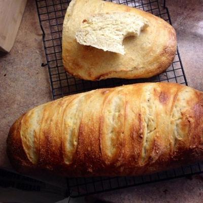 pain de campagne - pain de campagne