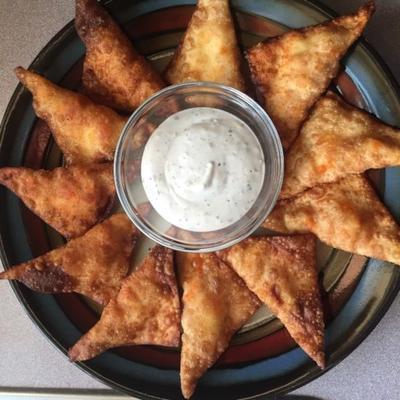 wontons de bison