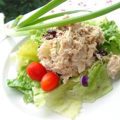 salade de poulet aux canneberges rachel