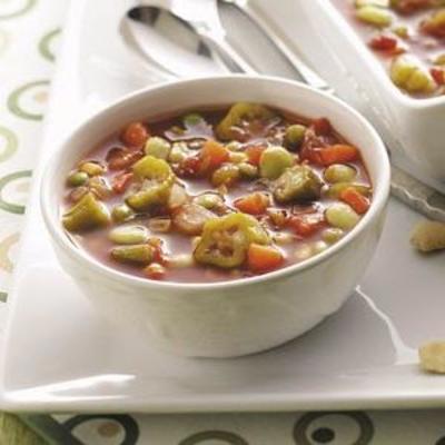 soupe de légumes du sud