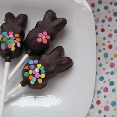 lapins couverts de chocolat instantané (sur un bâton)