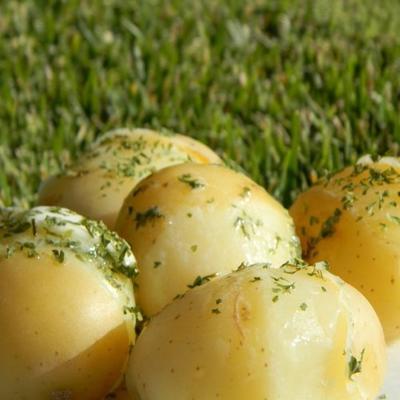 pommes de terre bouillies de Lengenberg