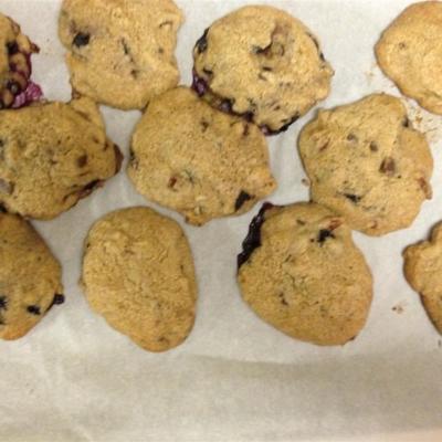 meilleur biscuit aux pépites de chocolat gros et gras