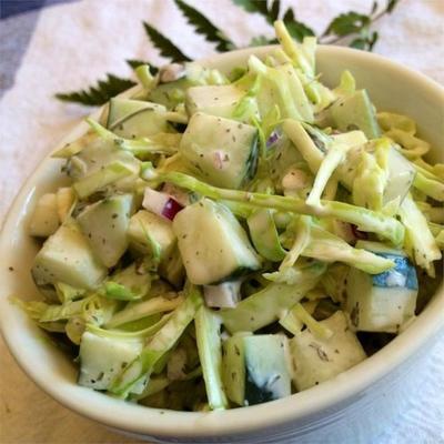 salade de chou poivrée avec concombres et céleri