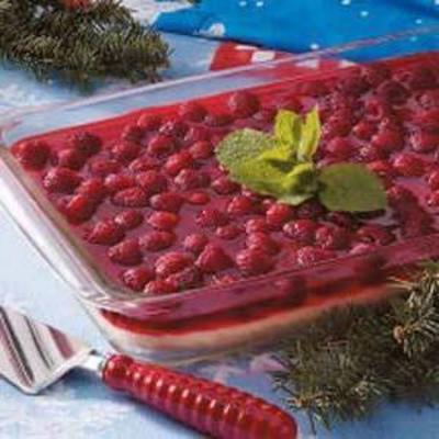 dessert de boîte de glace à la framboise