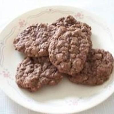 biscuits aux brisures d'avoine au chocolat