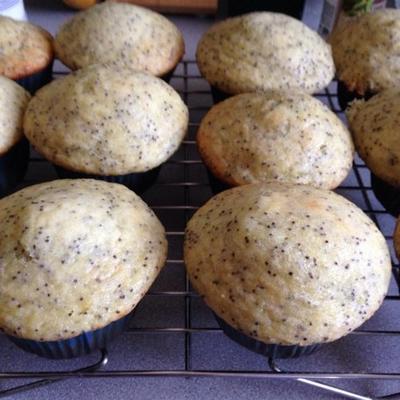 muffins aux graines de pavot citronnées
