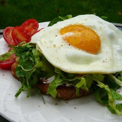 sandwichs aux œufs ouverts avec salade de roquette