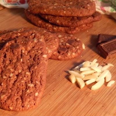 biscuits au chocolat et au congélateur