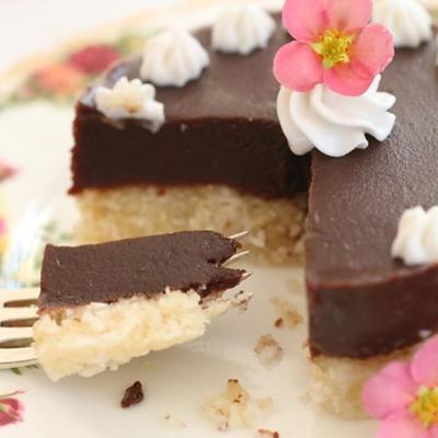 gâteau au chocolat sans gluten avec noix de coco
