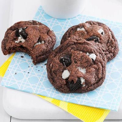quadruple biscuits au chocolat