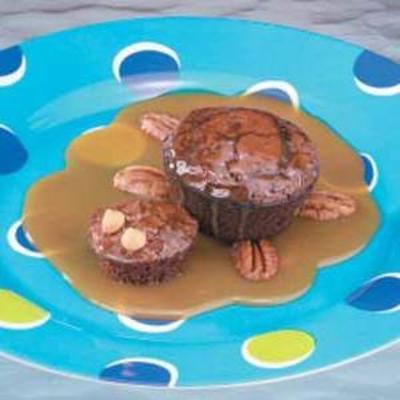 tortues brownie