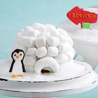 cupcakes igloo