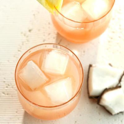 gava rhum fizz