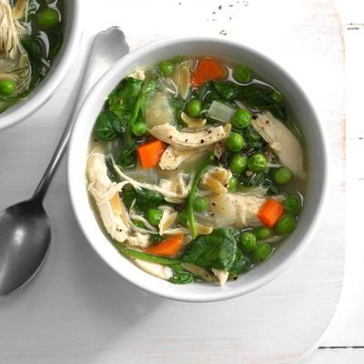 soupe de poulet au printemps