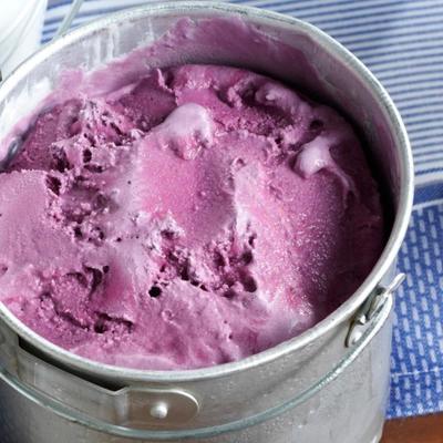 yaourt glacé aux mûres