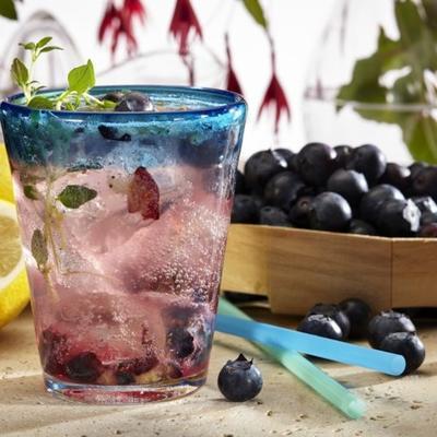 limonade aux bleuets et stevia