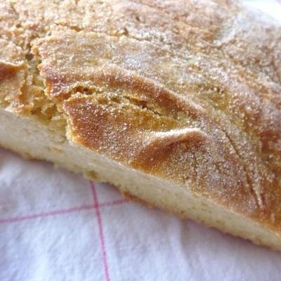 pain de blé entier sans pétrir avec farine de sorgho
