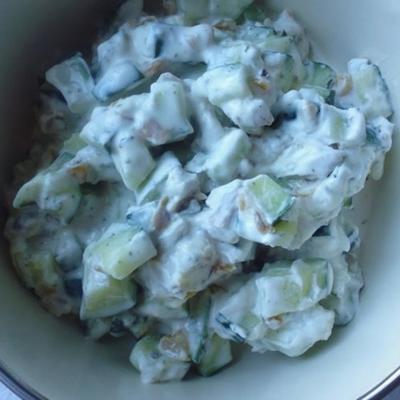 masht-o khiyaar (salade de concombre persan aux raisins secs et aux noix)