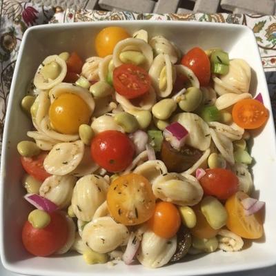 Salade de pâtes à la fève de Toscane et à l'orecchiette