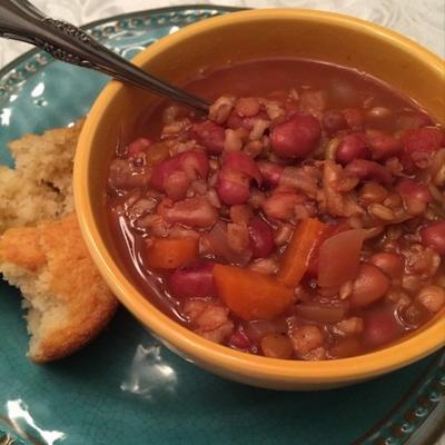 soupe végétalienne instantanée de 15 haricots