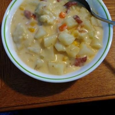 soupe de pommes de terre au four avec rivels