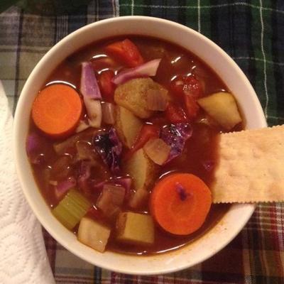 soupe de légumes végétarienne épaisse (rapide et facile)