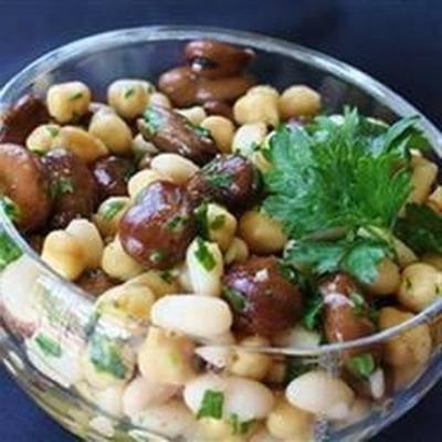 salade de haricots libanais