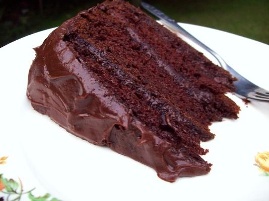 sacrément bon gâteau au chocolat