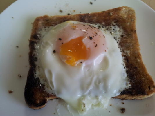 micro-ondes oeuf poché sur du pain grillé