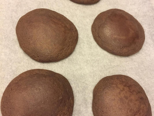biscuits au cacao en poudre.