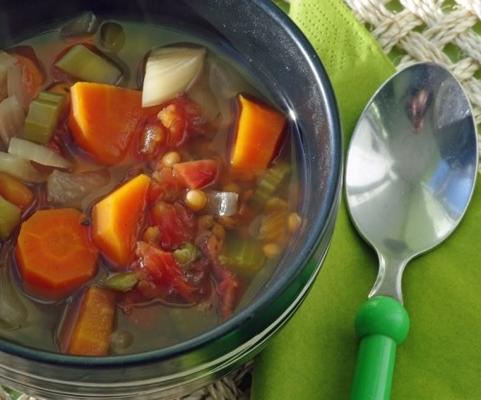 soupe aux lentilles et légumes (mijoteuse)