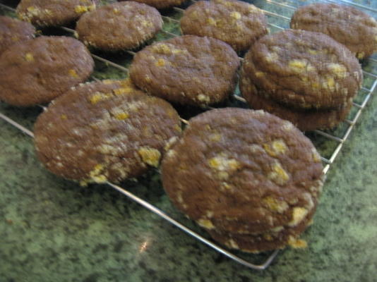 biscuits chocolat-orange-pépites de chocolat