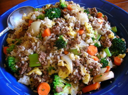 riz frit au boeuf haché de chaton