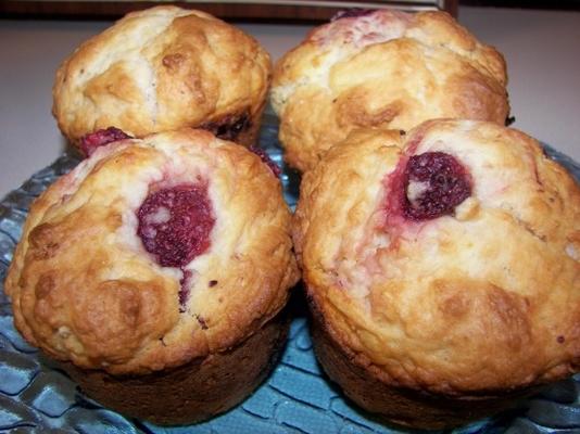 muffins nature ou bleuets de shirley