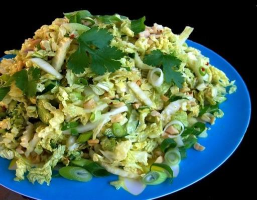 salade de chou indonésienne